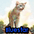 Six cat-themed buddy icons arranged in a , each with a name label below the image