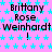 Static image with repeated text over star pattern background; no visible animation changes.