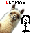 llamas and pixel art icons with changing text labels in multiple colors