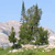 Pixelated landscape with green trees, light brown ground, and blue sky background.