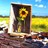 A pixelated static image shows a sunflower in a dark frame against a blue sky and yellow field background.