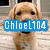 A golden retriever dog with a blue text overlay reading "ChloeL104" appears in the top-left quadrant of a four-quadrant
