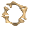 Nine circular arrangements of beige bone fragments on gray background, each with distinct fragment positions and orientations.