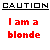 A static contact sheet showing two identical frames of a pixelated graphic with black text "CAUTION" underlined and red text "I am a blonde" below, all on white background.