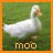 A white duck with an orange beak stands on green grass, facing right; the word 'moo' appears below in pixelated text.