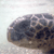 A pixelated image of a dark, rounded object with a smooth surface against a light background.