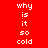 Four display the text 'why is it so cold' in white pixelated font on red, purple, blue, and dark purple backgrounds