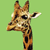 50-zooinsiders