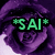 Pixelated icon with purple and black background featuring green text "*SAI*" with asterisks on both sides.
