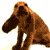 Animals icons for AIM, MSN, MySpace and Yahoo