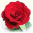 six showing a red rose, blue text 'Roses are red', and purple flowers with changing text elements including 'Violets are blue' and 'i've got a crush but not on you'