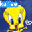 Pixelated yellow cartoon bird with large white eyes, blue pupils, and red beak against dark blue background; text 'kailee' in light blue box above.