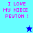 Pixelated text "I LOVE MY NIECE PEYTON !" in pink on cyan and blue backgrounds with a blue star and light blue star icon.