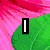 Four quadrant displays text fragments with distinct backgrounds and symbols: pink rays, green leaf, black heart, and dark abstract shapes with colorful flower-like elements