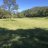 Pixelated landscape with blue sky, green trees, yellow field, and dark water reflection.
