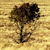 A pixelated tree with a brown trunk and dark brown foliage against a light brown textured background.