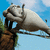 A pixelated cartoon character with a large nose and closed eyes sits on a brown rock against a blue sky background.