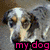 Pixelated dog image with pink text overlays reading 'angus', 'my dog', 'hes so cute' on a light background.