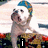 A pixelated cartoon dog wearing a blue and yellow beanie sits on a skateboard with text changing below it.