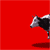 Black-and-white spotted cow walking left to right across red background in six showing full-body motion