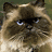 Pixelated cat with brown fur and blue eyes on left, black background with white text reading "I'm bored. Tell me a story ... OR ELSE!" on right.