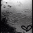 Black-and-white animated icon with heart symbol, wave-like background pattern, and small dark shapes moving across the top.