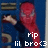 Pixelated image of a red-skinned character with a blue background, featuring white text reading 'rip lil brox3' at the bottom.