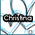 Four display text labels over a blue and gray geometric pattern background with black outlines
