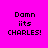Pixelated text "Damn its CHARLES!" on bright pink background with green rectangular overlays shifting across the image.