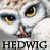 Animated owl with yellow eyes and orange beak, displaying three distinct eye states across frames beneath repeated text.
