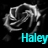 Pixelated grayscale rose with cyan text 'Haley' on black background