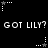 Black background with white pixelated text repeating 'GOT LILY? GOT LILY? GOT LILY?' and small star-shaped icons with dotted lines in various positions.