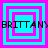 Pixelated text "BRITTANY" repeats across a of cyan and magenta nested squares on a cyan background