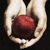 Four- shows hands holding a red sphere, blood dripping from a hand, flowing red ribbon, and white chess queen on black background