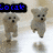 Animated sequence of a small dog in four poses with changing text overlays on a light background.
