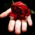 A pixelated hand holds a red fruit with green leaves against a black background.