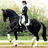 A pixelated image of a rider on a black horse with white leg markings, set against greenery and a light background.
