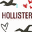 Animated icon with repeated 'HOLLISTER' text, black bird silhouettes, red hearts, and cyan 'I LOVE' text on white background.