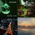 Four distinct static pixel art images arranged in a 2x2 grid, each with unique color palettes and subjects.