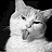 A black-and-white animated contact sheet showing a cat with its tongue out surrounded by repeated "na" text in pixelated font across six frames arranged in 3x2 grid.