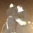 Pixelated static image of a figure with light-colored hair and a dark outfit against a brown background, featuring multiple bright white highlights.