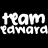 A black background displays repeated white 'team' text above red pixelated symbols that change across frames.