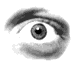 Six grayscale eye images arranged in a , with one additional eye image below the , all showing variations in eye shape and pupil position