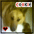 A 48x48 pixel animated buddy icon featuring a dog's face with