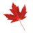 Red maple leaf with gradient shading on white background, rendered in pixelated style.