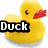 Yellow rubber duck with red beak, two instances of 'Duck' text labels, and a goose image on the right.