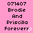 Pixelated text on pink background with heart symbol, showing '071407 Brodie And Priscilla Forever' in black and white.