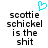 Pixelated text reads 'scottie schickel is the shit' with a cyan heart symbol above the text on a white background.