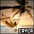 A pixelated image of a character with brown hair and closed eyes, set against a light background with palm trees; text 'CAYLA' appears at the bottom.
