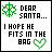 Green pixelated text and symbols on white background with black border, repeating 'DEAR SANTA... I HOPE HE FITS IN THE BAG' across multiple
